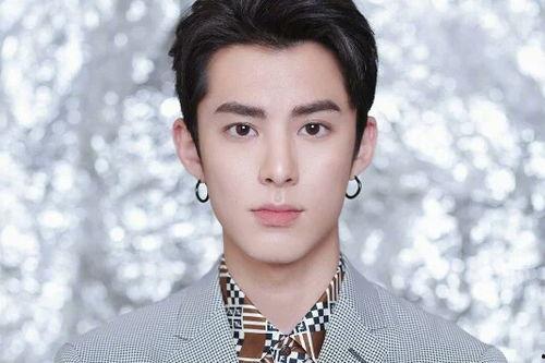 王鹤棣私生爆料视频大全,娱乐圈背后的真相与争议